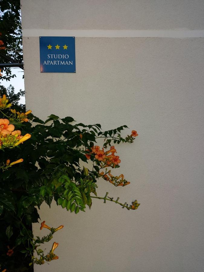 Studio Apartman Kotro Beli Manastir Εξωτερικό φωτογραφία