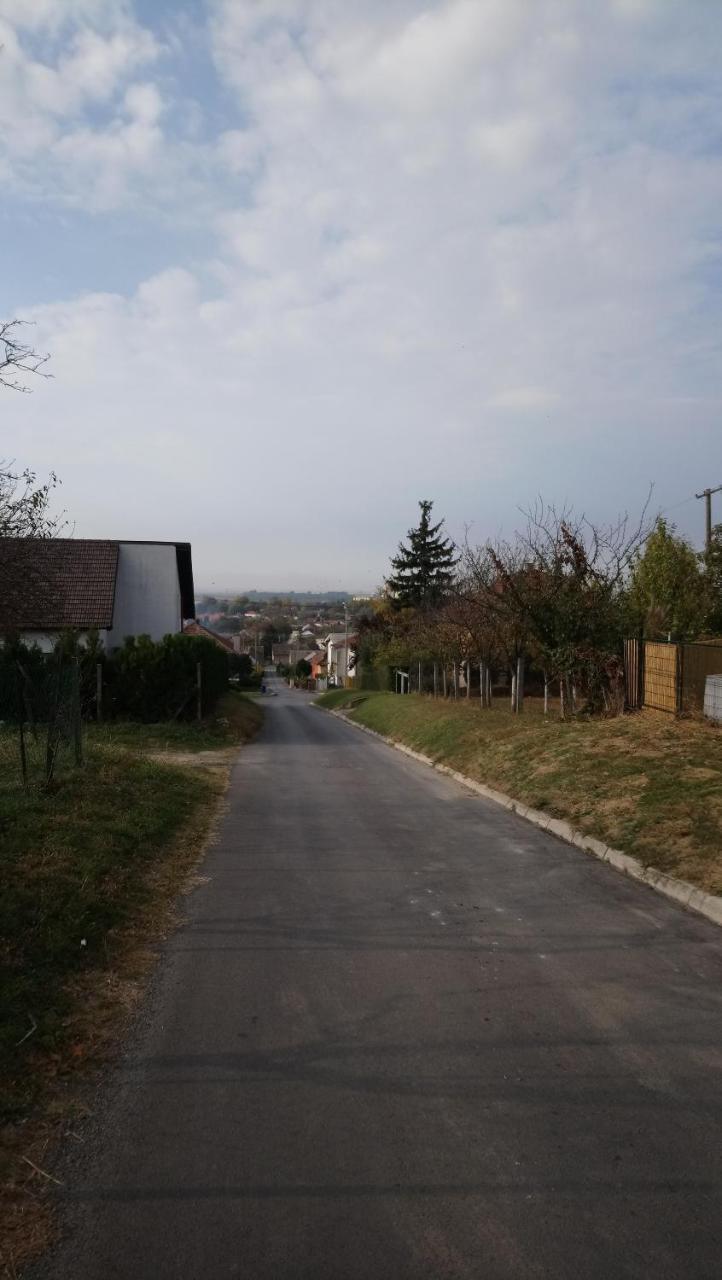 Studio Apartman Kotro Beli Manastir Εξωτερικό φωτογραφία