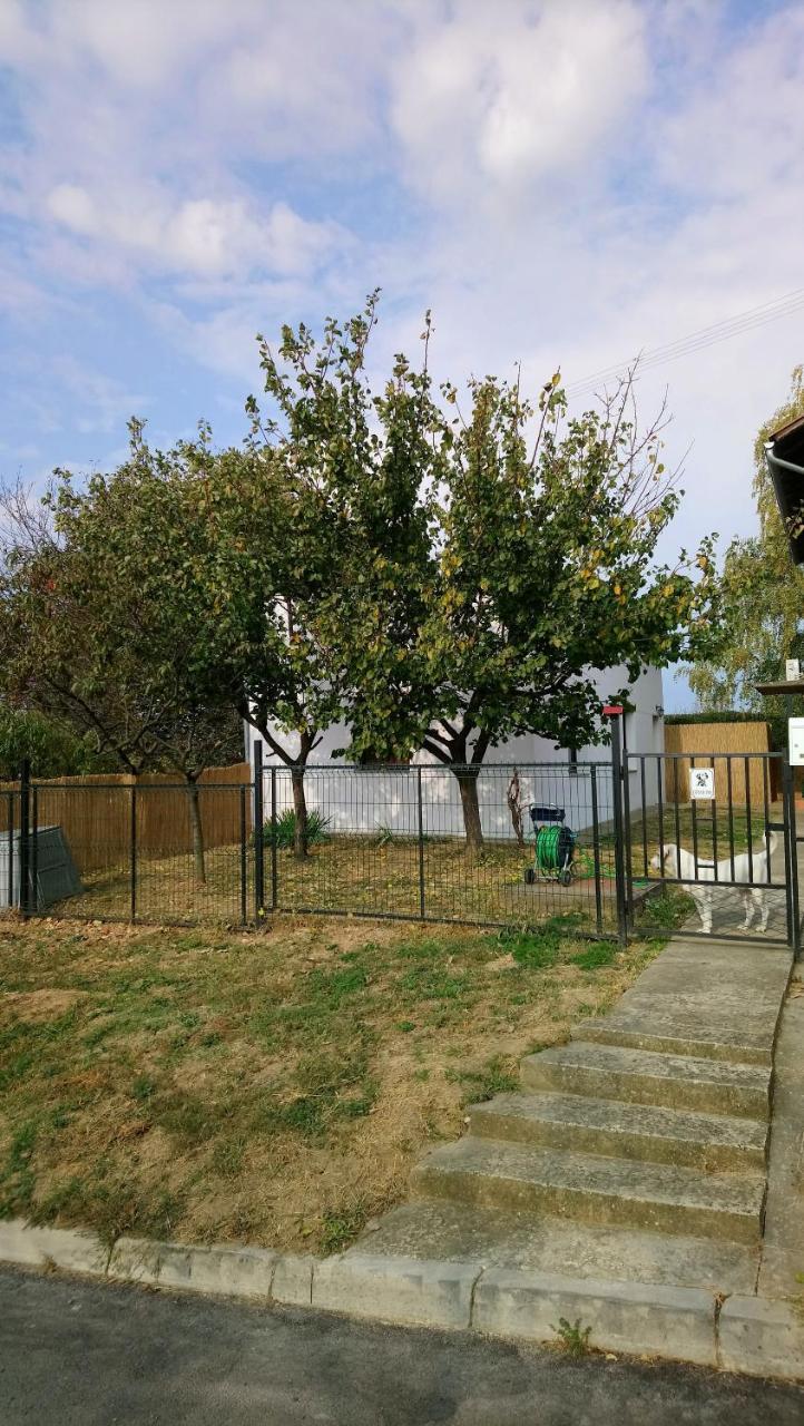 Studio Apartman Kotro Beli Manastir Εξωτερικό φωτογραφία